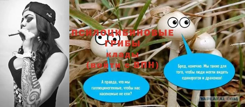 Галлюциногенные грибы Cubensis  где продают наркотики  гидра ссылка  Сосновка 